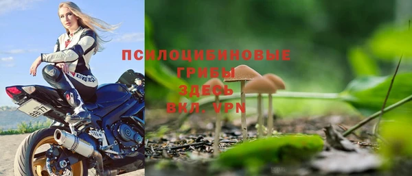 ALPHA PVP Алзамай