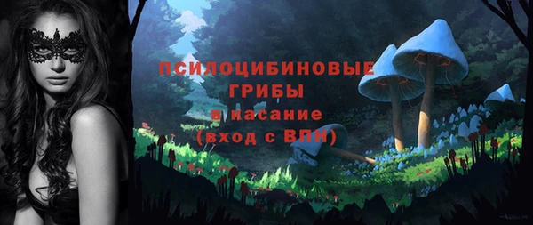 2c-b Алексин